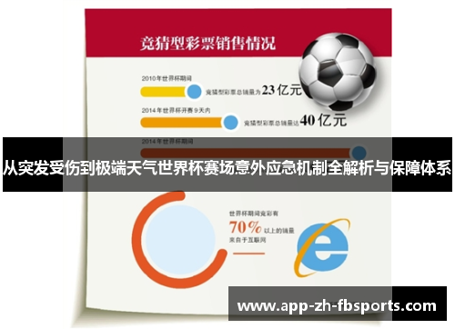 从突发受伤到极端天气世界杯赛场意外应急机制全解析与保障体系