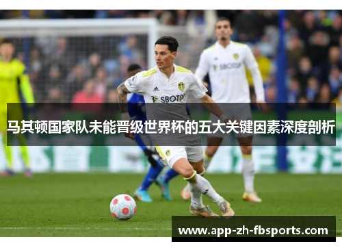 马其顿国家队未能晋级世界杯的五大关键因素深度剖析